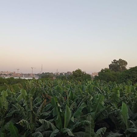 Tomorrow Land Villa Luxor Esterno foto